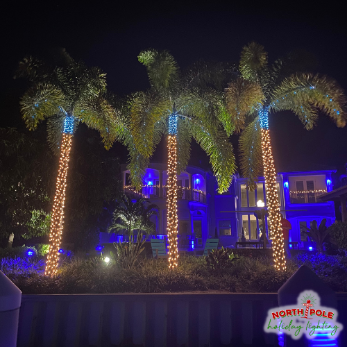 south florida's premier holiday lighting company, outdoor christmas lights, home holiday lighting, house christmas light installs, outdoor holiday decorations, residential outdoor lighting, christmas lights on trees, north pole holiday lighting, outdoor christmas decor, holiday light installation palm beach county florida, palm beach holiday lights, christmas light installation tips, christmas light installers near me