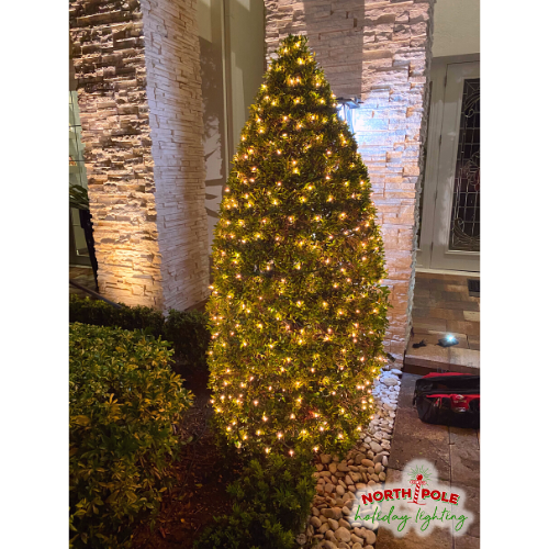 south florida's premier holiday lighting company, outdoor christmas lights, home holiday lighting, house christmas light installs, outdoor holiday decorations, residential outdoor lighting, christmas lights on trees, north pole holiday lighting, outdoor christmas decor, holiday light installation palm beach county florida, palm beach holiday lights, christmas light installation tips, christmas light installers near me