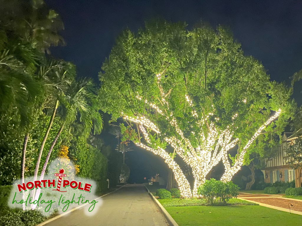 south florida's premier holiday lighting company, outdoor christmas lights, home holiday lighting, house christmas light installs, outdoor holiday decorations, residential outdoor lighting, christmas lights on trees, north pole holiday lighting, outdoor christmas decor, holiday light installation palm beach county florida, palm beach holiday lights