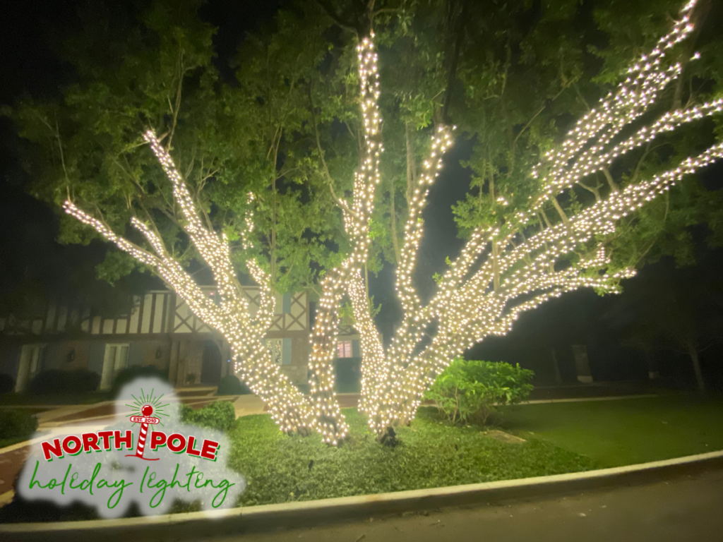 south florida's premier holiday lighting company, outdoor christmas lights, home holiday lighting, house christmas light installs, outdoor holiday decorations, residential outdoor lighting, christmas lights on trees, north pole holiday lighting, outdoor christmas decor, holiday light installation palm beach county florida, palm beach holiday lights