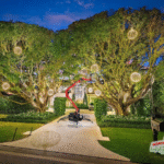 Holiday lighting south flor Florida, mirasol, Jupiter country club, fort larderdale, wellington,