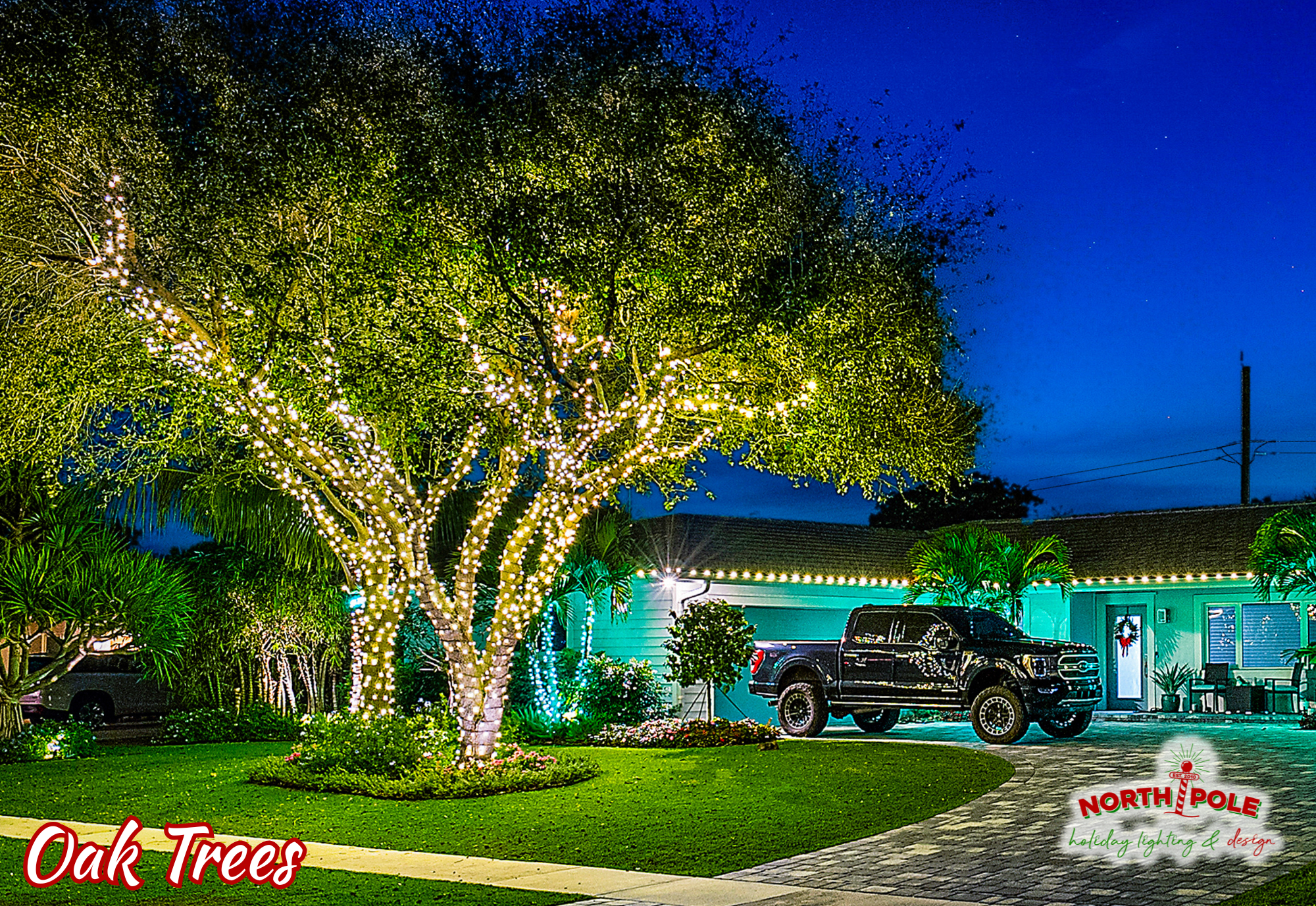 Massive mature live oak tree in Stuart FL completely enveloped in thousands of warm white LED lights using the meticulous branch wrapping technique.