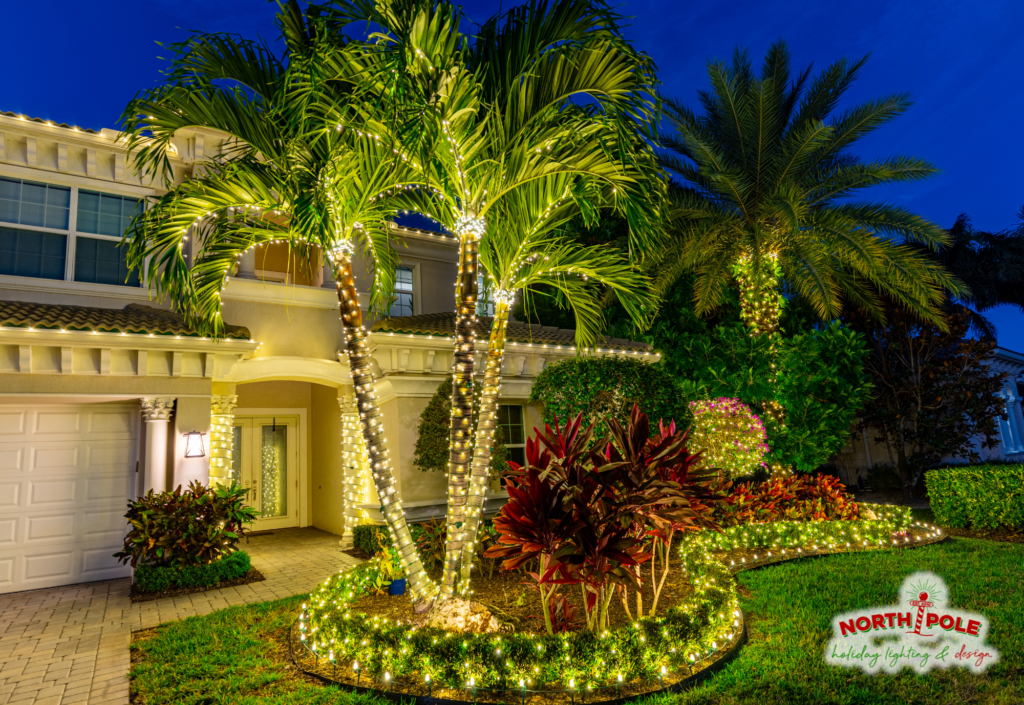 Luxury Jupiter residential holiday lighting featuring warm white LED landscape bed wraps, stacked palm tree lighting, and architectural roofline outlines.