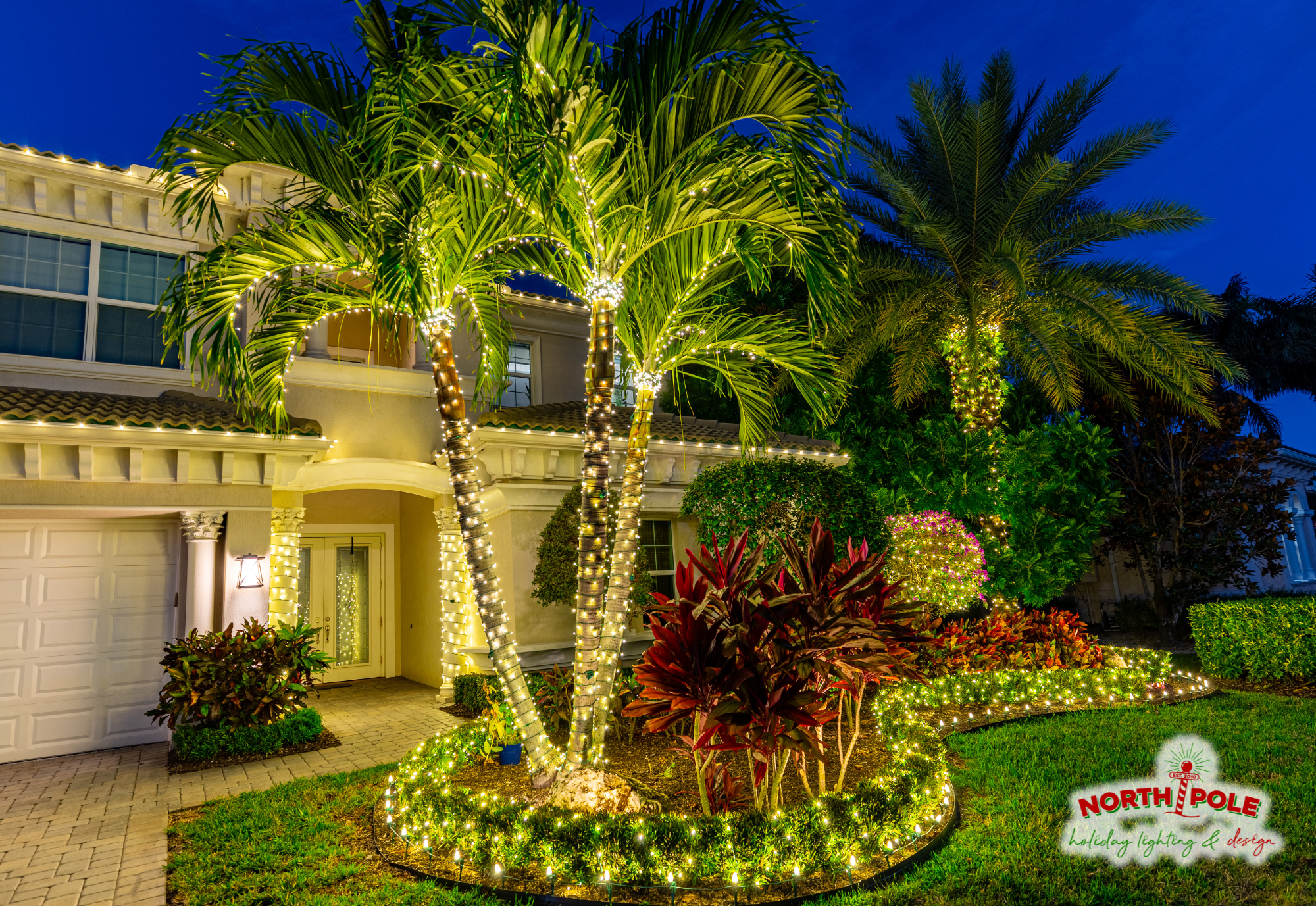 Luxury Jupiter residential holiday lighting featuring warm white LED landscape bed wraps, stacked palm tree lighting, and architectural roofline outlines.