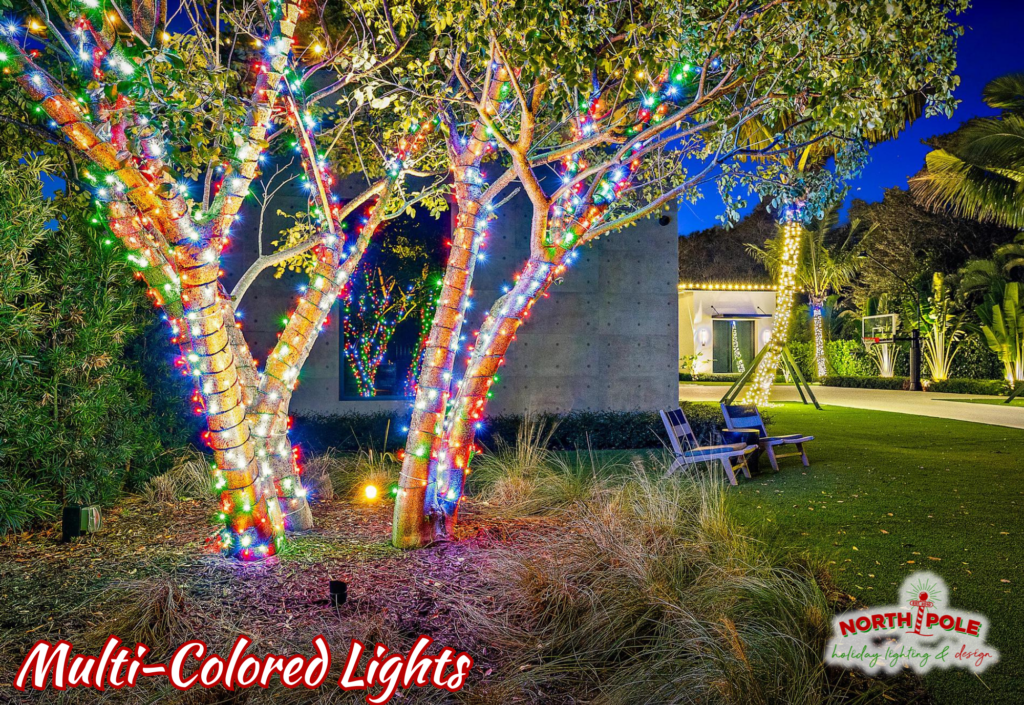 Multi-colored LED holiday light wraps on a multi-trunk native tree at a Hobe Sound estate.