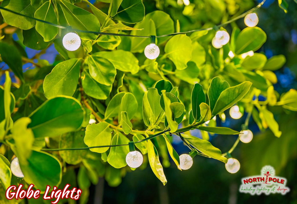 Professional globe-style holiday lights strung through a lush garden canopy in Delray Beach.