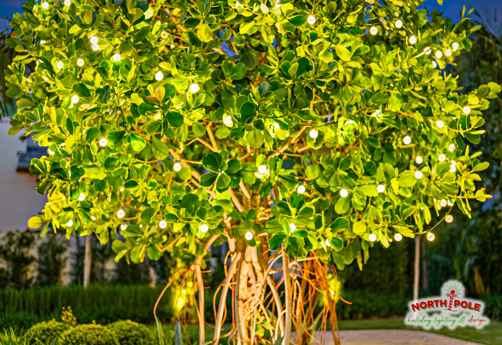 Close-up of professional warm white LED light globes installed in a sea grape tree at a luxury Manalapan estate.