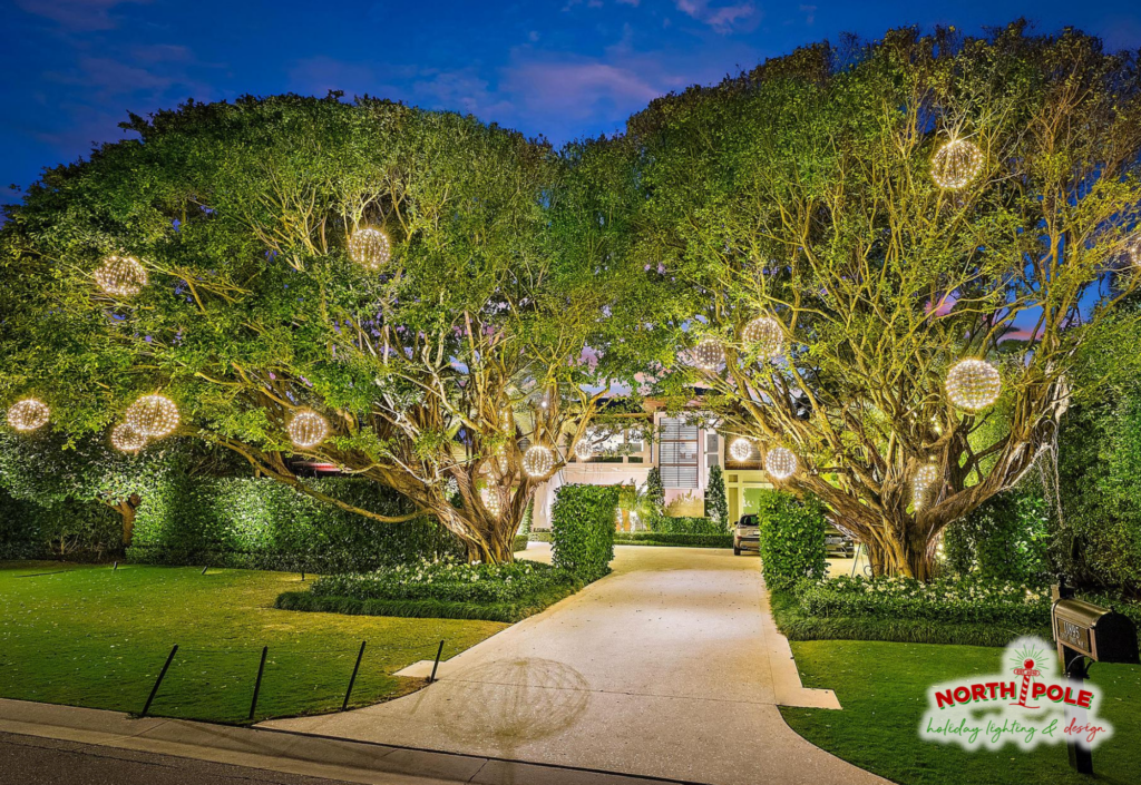 Specialty holiday light spheres hanging in a large banyan tree at a luxury Palm Beach estate, creating a 'floating' glow.