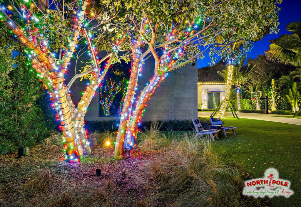 Multi-colored LED holiday light wraps on a native Gumbo Limbo tree at a luxury Palm Beach estate.